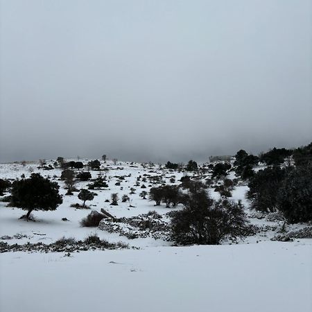 Casa Rural Las Nogueras Caserio Arroyofrio エクステリア 写真