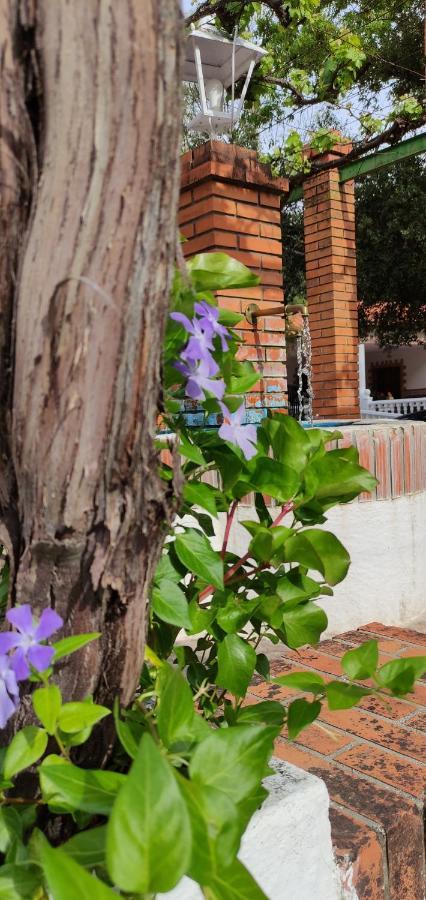 Casa Rural Las Nogueras Caserio Arroyofrio エクステリア 写真