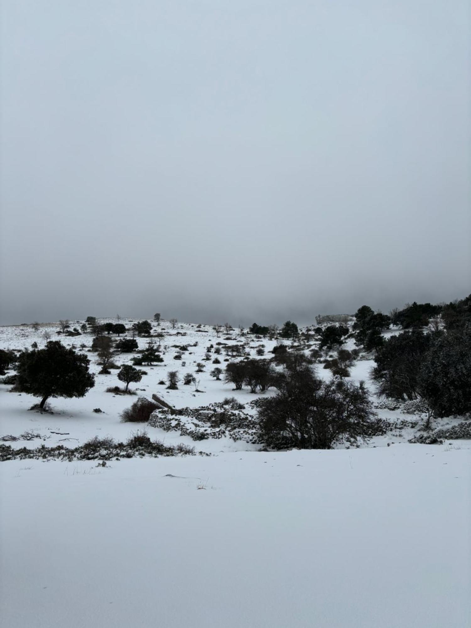 Casa Rural Las Nogueras Caserio Arroyofrio エクステリア 写真